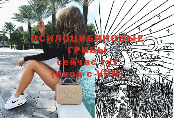 дживик Алзамай