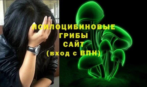 дживик Алзамай