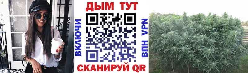 Марихуана THC 21%  хочу   KRAKEN   Краснокамск 